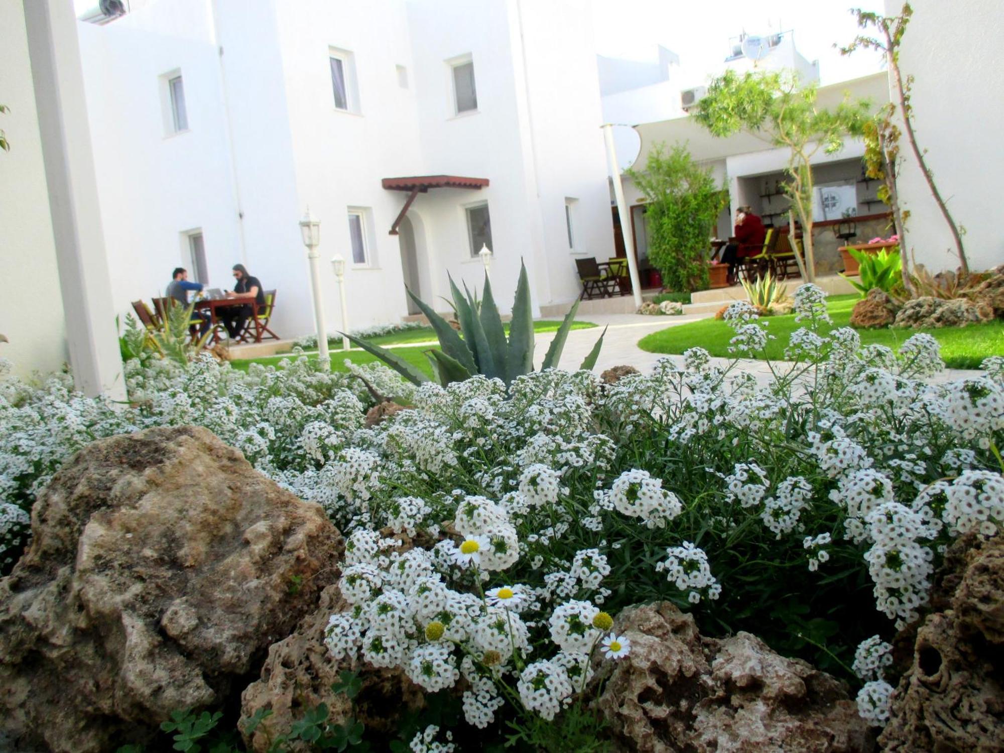 Canna Garden Hotel - Adult Only Gumbet Exterior photo